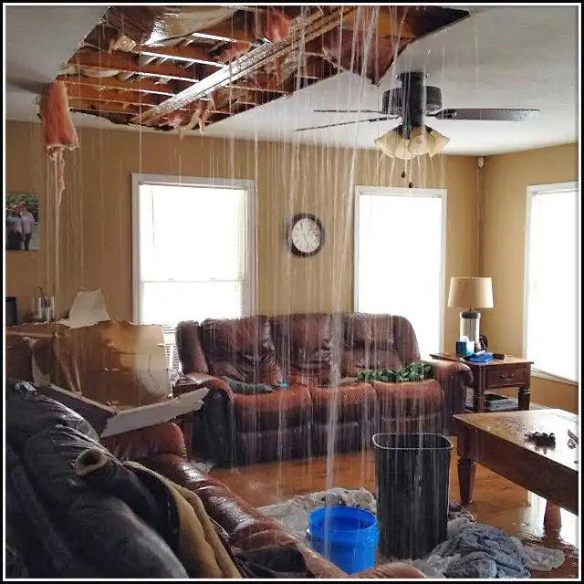 Burst Pipe Cleanup in Richfield, MI